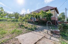 Casa de vânzare 2 camere Dambul Rotund - 122829CV | BLITZ Cluj-Napoca | Poza4