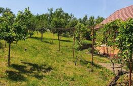 Proprietate traditionala cu 2040 mp teren