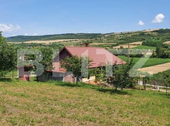 Casa de vânzare 2 camere Dabaca - 182138CV | BLITZ Cluj-Napoca | Poza7