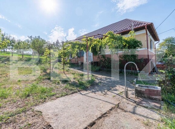 Casa de vânzare 2 camere Dabaca - 182138CV | BLITZ Cluj-Napoca | Poza1