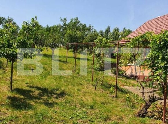 Casa de vânzare 2 camere Dabaca - 182138CV | BLITZ Cluj-Napoca | Poza8