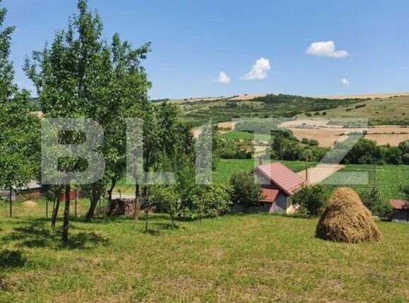 Casa de vânzare 2 camere Dabaca - 182138CV | BLITZ Cluj-Napoca | Poza6