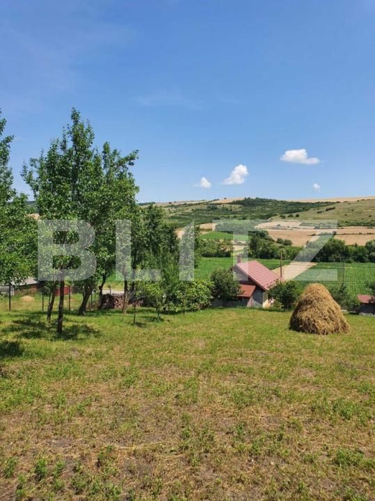 Casa de vânzare 2 camere Dabaca - 182138CV | BLITZ Cluj-Napoca | Poza6