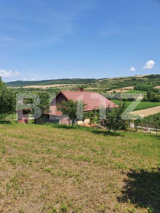 Casa de vânzare 2 camere Dabaca - 182138CV | BLITZ Cluj-Napoca | Poza7