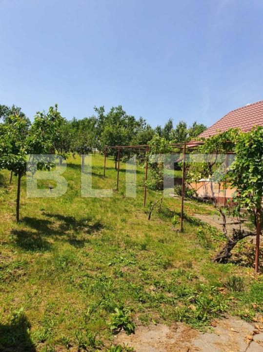 Casa de vânzare 2 camere Dabaca - 182138CV | BLITZ Cluj-Napoca | Poza8