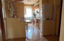 Apartament cu 3 dormitoare decomandat, 2 balcoane, pet friendly, Manastur/Big