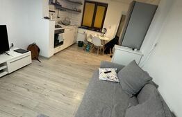 Apartament 2 camere, 39 mp, mobilat modern, balcon, zona Primăverii Mănăștur