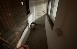 Apartament 2 camere, 39 mp, mobilat modern, balcon, zona Primăverii Mănăștur