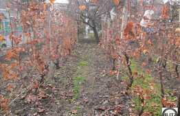 Casa demolabila de vanzare, cu teren de 320 mp si front la strada de 30ml!