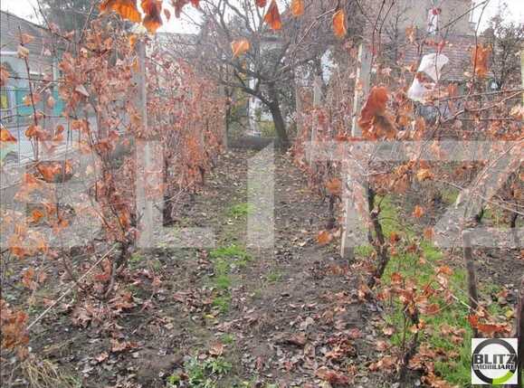 Casa de vânzare 2 camere Iris - 18216CV | BLITZ Cluj-Napoca | Poza3