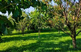 Casa individuala in apropiere de Cluj-Napoca si un teren generos de 2382mp