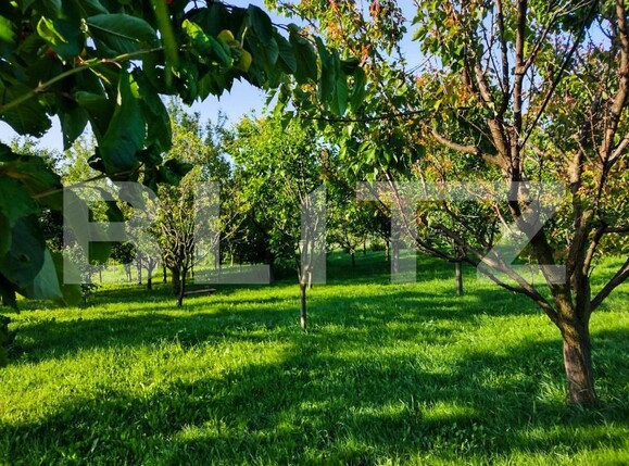 Casa de vânzare 2 camere Aiton - 182179CV | BLITZ Cluj-Napoca | Poza2