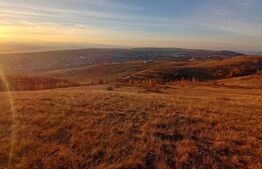 Teren extravilan potrivit pentru investitie 