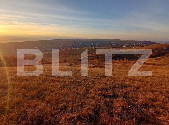 Teren de vânzare Salicea - 182186TV | BLITZ Cluj-Napoca | Poza3