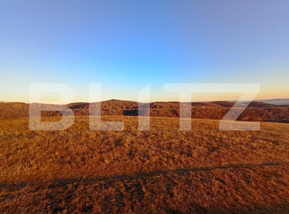 Teren de vânzare Salicea - 182186TV | BLITZ Cluj-Napoca | Poza1