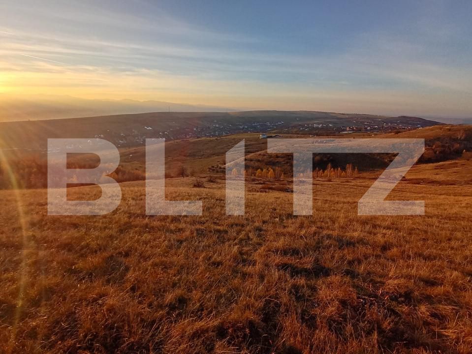 Teren de vânzare Salicea - 182186TV | BLITZ Cluj-Napoca | Poza3