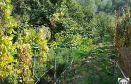 Vanzare casa individuala, 60 mp utili, 1453 mp teren, zona linistita