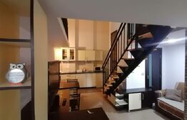 Apartament cu o camera, semidecomandat, pet friendly, loc de parcare, Calvaria