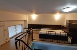 Apartament cu o camera, semidecomandat, pet friendly, loc de parcare, Calvaria