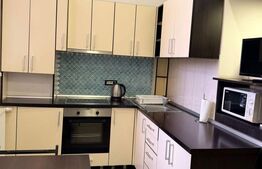 Apartament cu o camera, semidecomandat, pet friendly, loc de parcare, Manastur