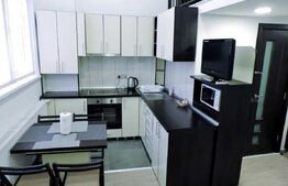 Apartament cu o camera, semidecomandat, pet friendly, loc de parcare, Manastur
