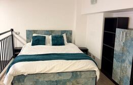 Apartament cu o camera, semidecomandat, pet friendly, loc de parcare, Manastur