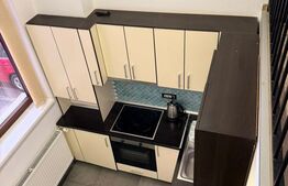 Apartament cu o camera, semidecomandat, pet friendly, loc de parcare, Manastur