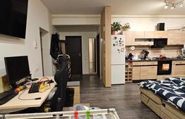 Apartament cu 2 camere, tip studio, modern, în zona Stupini - comision 0%