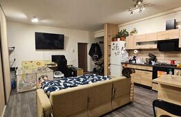 Apartament cu 2 camere, tip studio, modern, în zona Stupini - comision 0%