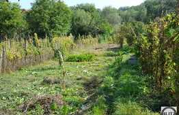 Vanzare casa individuala, 55 mp utili, 1453 mp teren, zona linistita