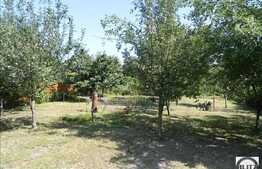 Casa de vanzare, 200 mp cu 565 mp teren, zona Parcul Farmec