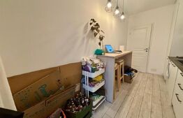 Apartament cu o camera decomandata, 46 mp, intermediar, garaj, The Office