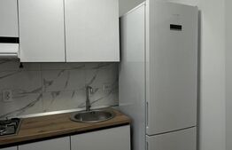 Apartament cu 3 camere, prima închiriere, parcare subterană, 67 mp, zona Teilor