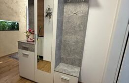 Apartament 2 camere, etaj intermediar, 56 mp, decomandat în Triaj