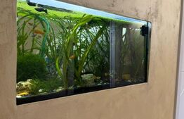 Apartament 2 camere, etaj intermediar, 56 mp, decomandat în Triaj