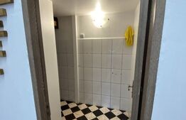 Spațiu comercial, 20 mp, vitrină la stradă, zona Horea