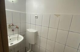 Spațiu comercial, 20 mp, vitrină la stradă, zona Horea