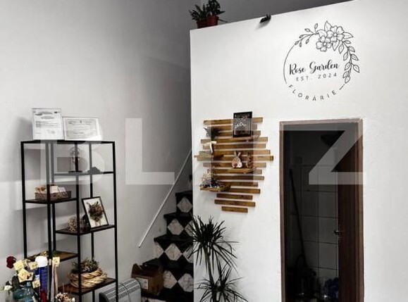 Spațiu comercial de închiriat Central - 182298SIC | BLITZ Cluj-Napoca | Poza2
