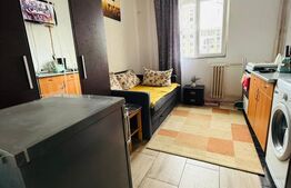 Camara camin cu loc de parcare si baie proprie-zona Florilor