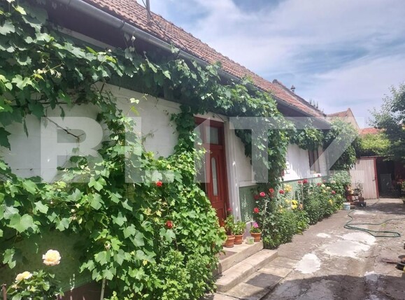 Casa de vânzare 2 camere Harman - 182345CV | BLITZ Brașov | Poza1