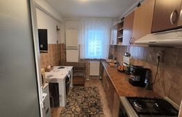 Apartament 2 camere, cu vedere spre masivul Piatra Mare, zona Noua