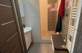 Apartament de 2 camere, 42 mp, utilat și mobilat, în zona Avram Iancu