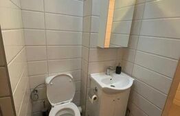 Apartament de 2 camere, 42 mp, utilat și mobilat, în zona Avram Iancu