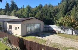 Spațiu pentru activitate de tip service auto/depozit, 80 mp, zona Noua