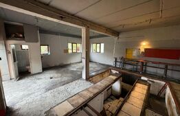 Spațiu pentru activitate de tip service auto/depozit, 80 mp, zona Noua