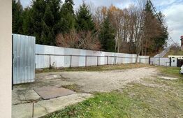 Spațiu pentru activitate de tip service auto/depozit, 80 mp, zona Noua