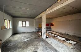 Spațiu pentru activitate de tip service auto/depozit, 80 mp, zona Noua