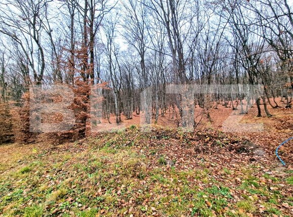 Teren de vânzare Floreşti - 182442TV | BLITZ Cluj-Napoca | Poza2