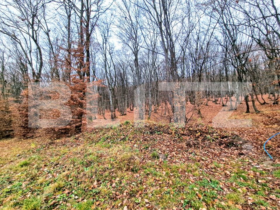 Teren de vânzare Floreşti - 182442TV | BLITZ Cluj-Napoca | Poza2