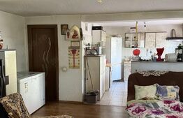 Oportunitate! Casa insiruita, 4 camere, 105 mp utili, Avram Iancu